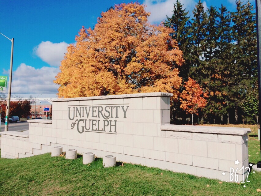 guelph1 guelph1