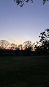 IMG_8161