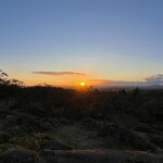 IMG_3622