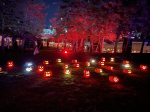IMG_0875 October