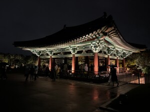 IMG_4689