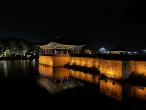 IMG_4706