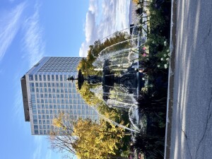 IMG_5713