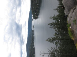 48770464_Unknown