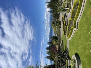 IMG_1592