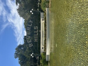 IMG_5917