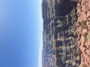 IMG_5997