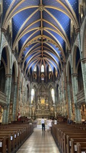 IMG_0419
