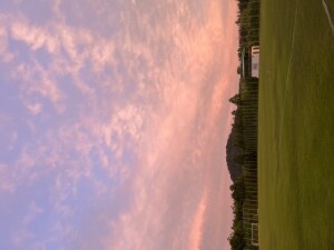 IMG_0431