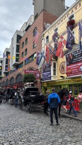 IMG_6710