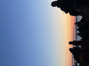 IMG_7650