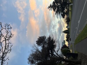 IMG_0163