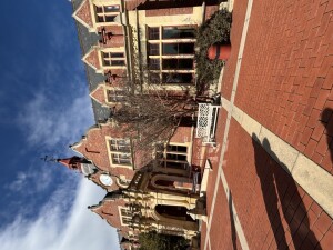 IMG_0229