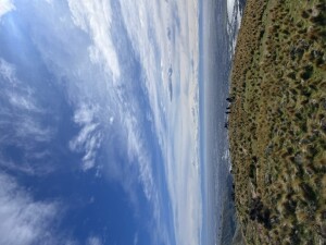 IMG_0384