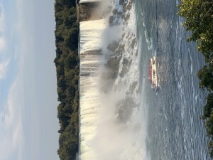 IMG_0428