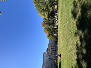 IMG_1171