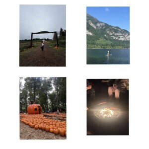 D64ECDDD-0450-4411-9F76-C5EDC63B0912