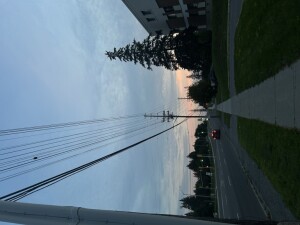 IMG_3159