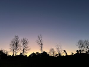 IMG_8140